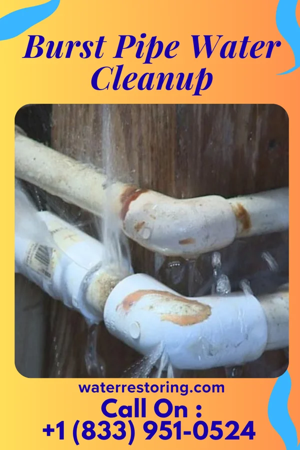 Burst Pipe Water Cleanup in Central City, CO